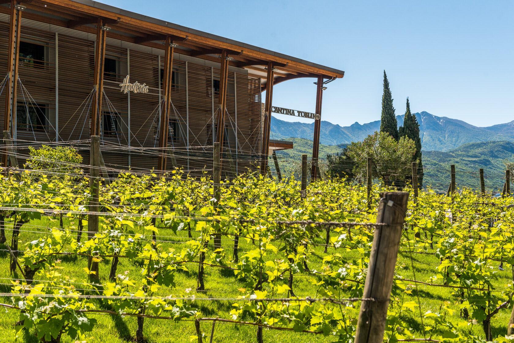 In scena la prima degustazione enogastronomica virtuale di Cantina Toblino, grazie al Cloud Computing di Microsoft