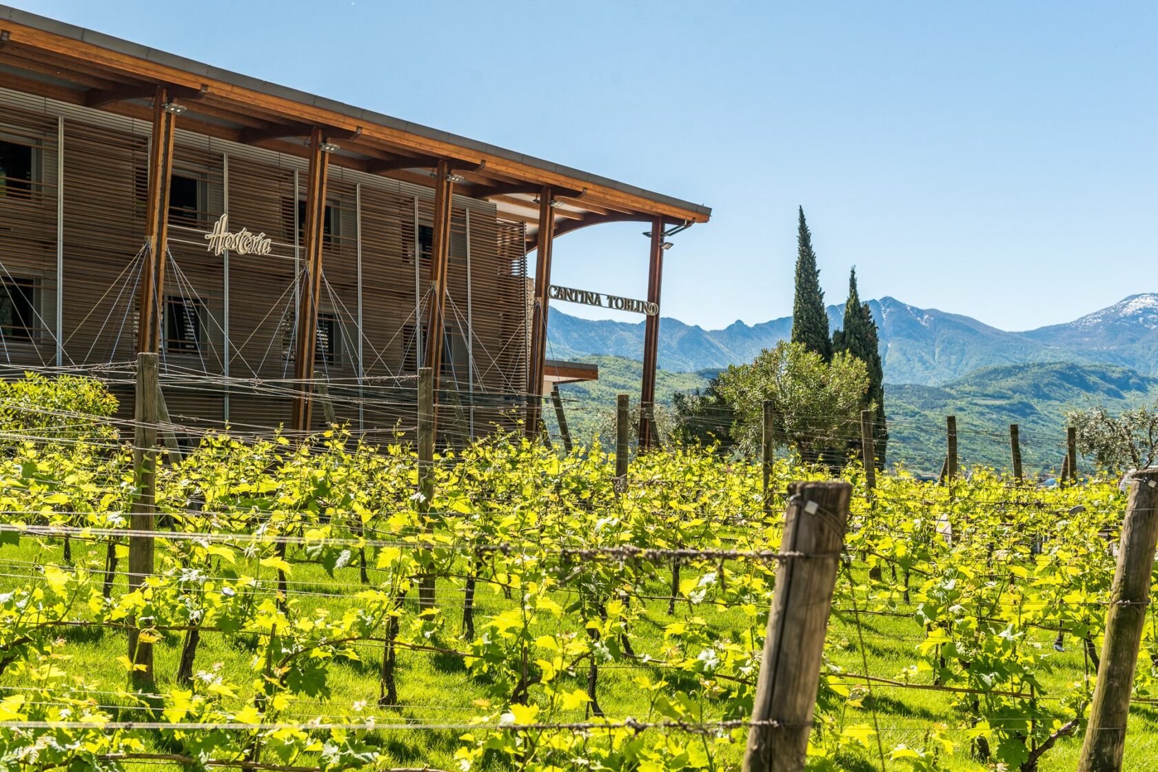 Special Guide for Wine Tourism: 10 itineraries for 10 wineries